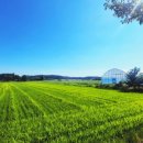 꽃지 화이트 펜션 이미지