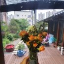 운남서로76번길 네이버블로그