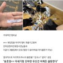 (주)석지 | 4학년의 엠티 후기