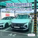 통일카서비스 | [제주현대렌트카] 가성비 렌트카 100% 만족 내돈내산 후기 (투싼하이브리드신형)