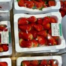 남원농협 하나로마트(고죽점) 이미지