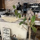 언니네 디저트 앤 베이커리 | 시흥 분위기 있는 디저트 맛집 <해례커피앤도브리베이커리> 방문 후기