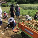 새일농장 이미지