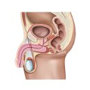 기백한의원 이미지