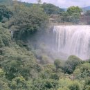 추월농장 이미지