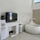 엘시아 애견풀빌라 이미지