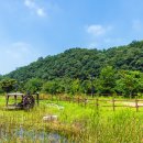 청주시 미래지농촌테마공원 오토캠핑장 이미지