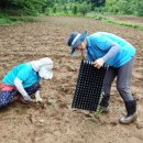 박경철농장 이미지