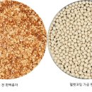 산림기술개발