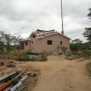 꿈의궁전 이미지