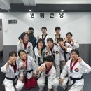 마스터K태권도 이미지