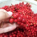 문경관광농원 이미지