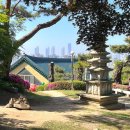 2020-172 | 인천 송도 가볼만한 곳, 5살 아이랑 청량산 등산(feat.흥륜사쉼터 영업시간, 메뉴/가격, 후기)