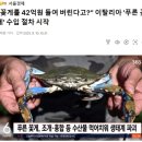 어가식품 네이버블로그