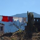 세탁의정석 이미지