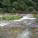 법수치계곡 펜션 꿈꾸는 숲 이미지