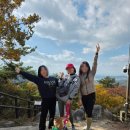 더편한마취통증의학과의원 | 무릎 염증으로 체외충격파 실손보험 청구 후기 질병코드 S83.6 오금 통증