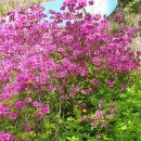 중대물빛공원 이미지