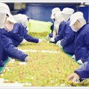 덕흥축산 이미지