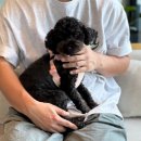 카페더카 | [경기도 이천] 애견동반 대형카페, 카페더엠 방문 후기🐾