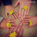 서울효사랑요양병원 이미지