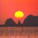 흑룡의원 이미지