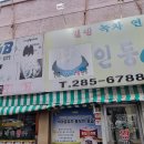인동녹차연잎왕만두