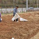 정만목장 Daum카페