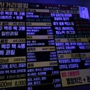 앙호두 용인중앙시장점