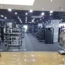 디와이프로젝트 네이버블로그