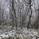 르 메종 제주 이미지