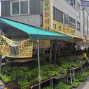 대성농약사 네이버블로그