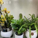진양화원 - 종로구 종로5길 68 | 수송동꽃집 진양화원 눈부신 순간이 시작되는 곳!
