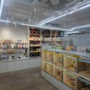 펫엔글라이더 이미지