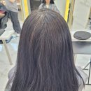 통닭원배곧점 | 배곧 미용실 라블랑코 배곧점 전체염색 후기 | 기장추가 없는 블루블랙 염색