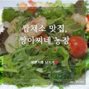 [쌈채소 맛집] 마트보다 싱싱한 야채 쇼핑몰 추천: '짱아찌네 농장' 솔직 구매 후기