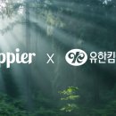 킴벌리솔루션 이미지