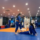 팀케이 유도 멀티짐 이미지