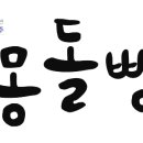 몽돌리조트 이미지