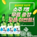 불새 | [ 부산 | 사하 하단동 ] 하단 불새막창 후기💥 사하구 막창집 여기로 종결