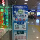 [유학사랑] 동대구/김해공항 리무진예약, 승차권찾기 이미지