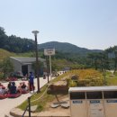 (주)동양레포츠 | 강화도 루지 가격 &amp; 후기 강화씨사이드리조트 루지 탑승 영상 있음