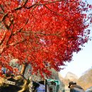 영산각 | 진안 가볼만한곳 신묘한 기분이 드는 마이산 탑사