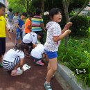 활천초등학교 이미지