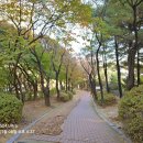 희망로509번길 이미지