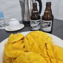 거북이모텔 | [필리핀/보홀][24년8월] 보홀 입국팩&amp;출국팩 시원리조트 이용후기(구.버진아일랜드) (ps. 호핑투어)