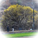 화곡2리경로당 이미지