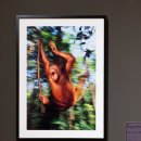 JCC아트센터 이미지