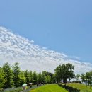 악양생태공원(숲속놀이터 옆) 이미지