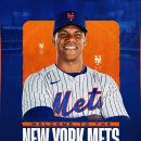 소토소토 이미지